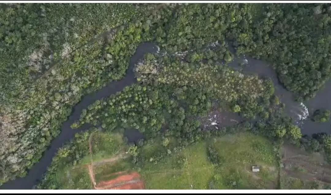 Ilha Fluvial Região de Una BA 